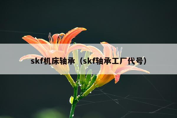 skf机床轴承（skf轴承工厂代号）