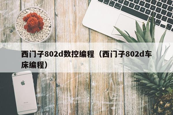 西门子802d数控编程（西门子802d车床编程）