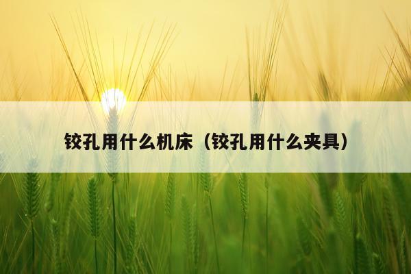 铰孔用什么机床（铰孔用什么夹具）