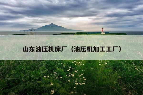 山东油压机床厂（油压机加工工厂）
