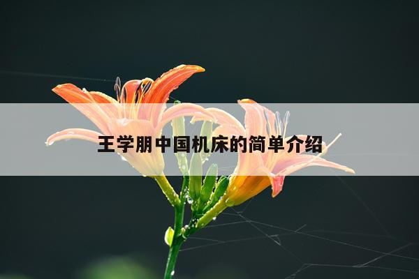 王学朋中国机床的简单介绍