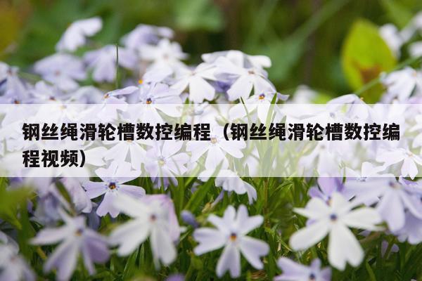 钢丝绳滑轮槽数控编程（钢丝绳滑轮槽数控编程视频）