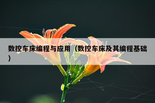 数控车床编程与应用（数控车床及其编程基础）