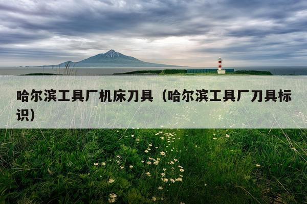 哈尔滨工具厂机床刀具（哈尔滨工具厂刀具标识）