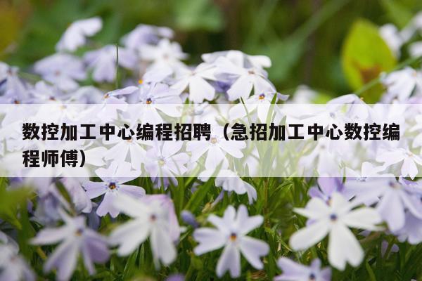 数控加工中心编程招聘（急招加工中心数控编程师傅）