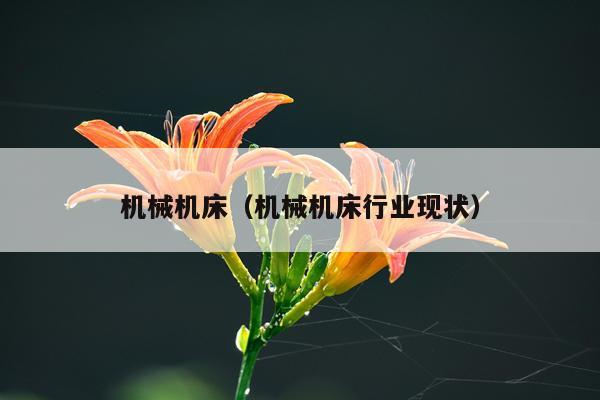 机械机床（机械机床行业现状）