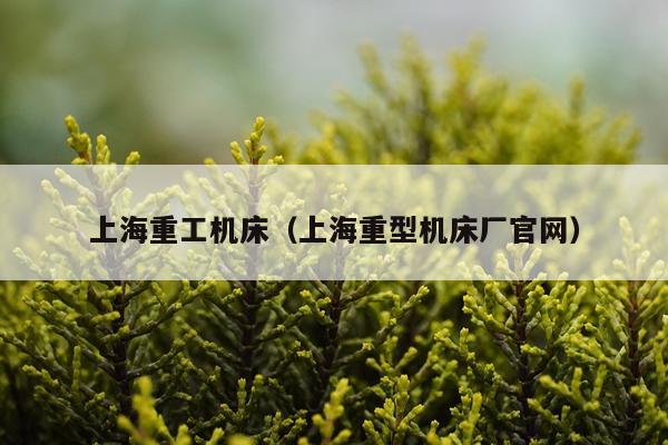上海重工机床（上海重型机床厂官网）
