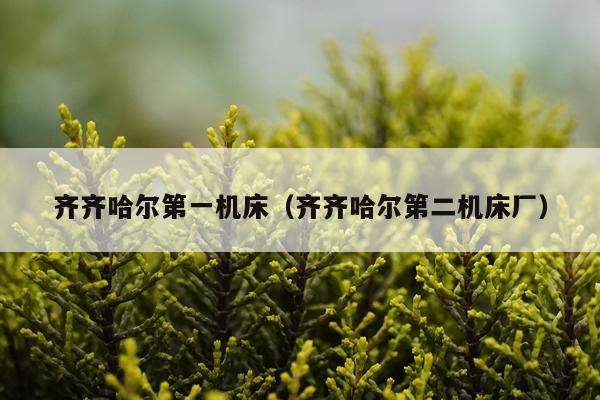 齐齐哈尔第一机床（齐齐哈尔第二机床厂）