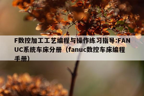F数控加工工艺编程与操作练习指导:FANUC系统车床分册（fanuc数控车床编程手册）