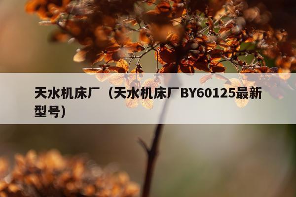 天水机床厂（天水机床厂BY60125最新型号）