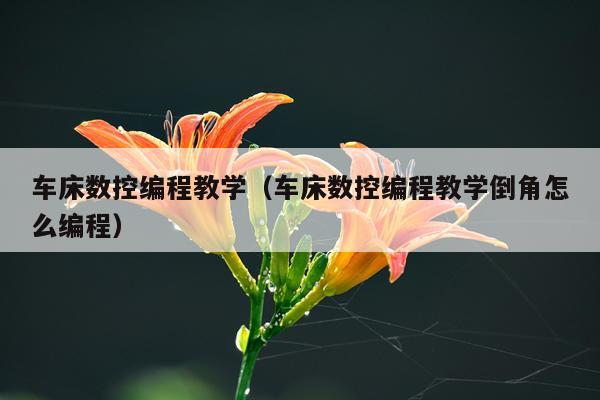 车床数控编程教学（车床数控编程教学倒角怎么编程）
