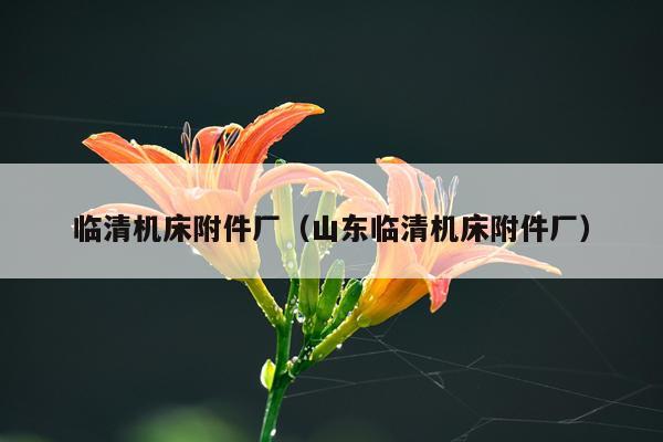 临清机床附件厂（山东临清机床附件厂）