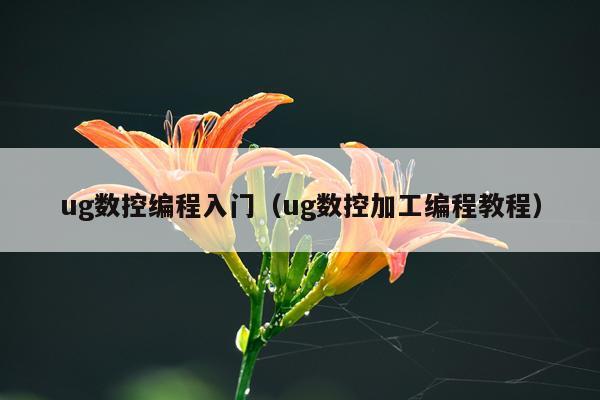 ug数控编程入门（ug数控加工编程教程）