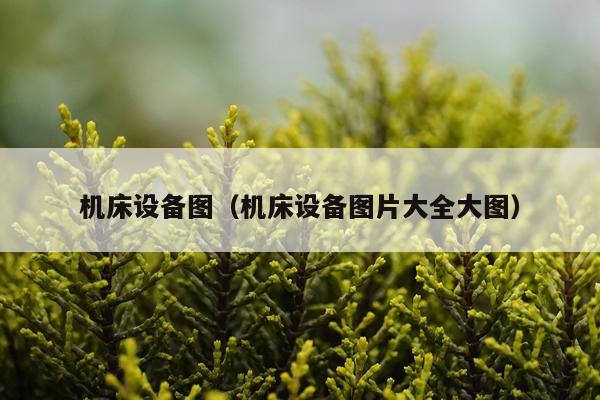 机床设备图（机床设备图片大全大图）