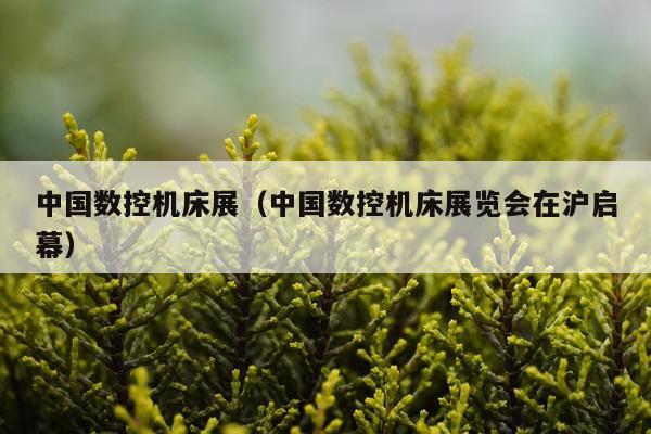 中国数控机床展（中国数控机床展览会在沪启幕）