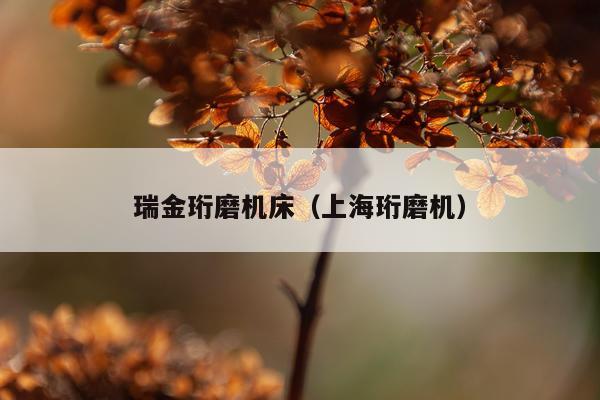 瑞金珩磨机床(上海珩磨机)
