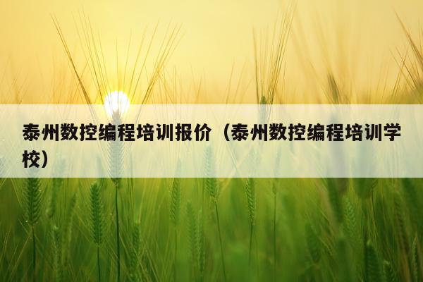 泰州数控编程培训报价（泰州数控编程培训学校）