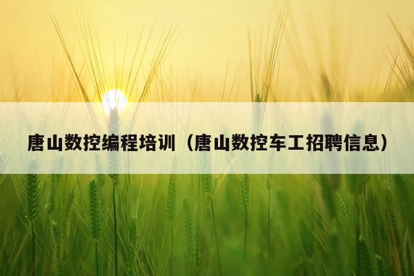 唐山数控编程培训（唐山数控车工招聘信息）