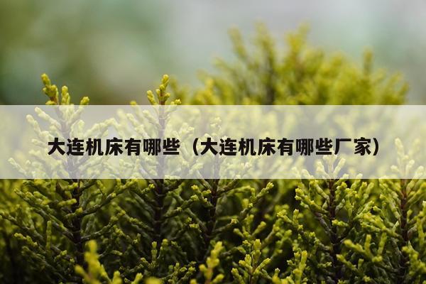 大连机床有哪些（大连机床有哪些厂家）