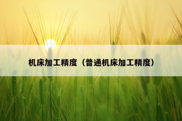 机床加工精度（普通机床加工精度）