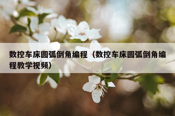 数控车床圆弧倒角编程(数控车床圆弧倒角编程教学视频)