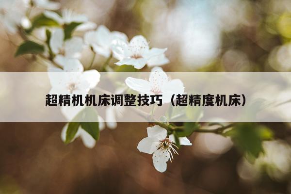 超精机机床调整技巧（超精度机床）