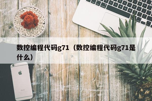 数控编程代码g71(数控编程代码g71是什么)