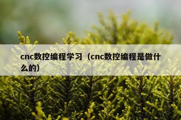 cnc数控编程学习（cnc数控编程是做什么的）