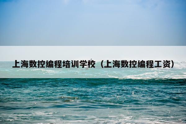 上海数控编程培训学校（上海数控编程工资）
