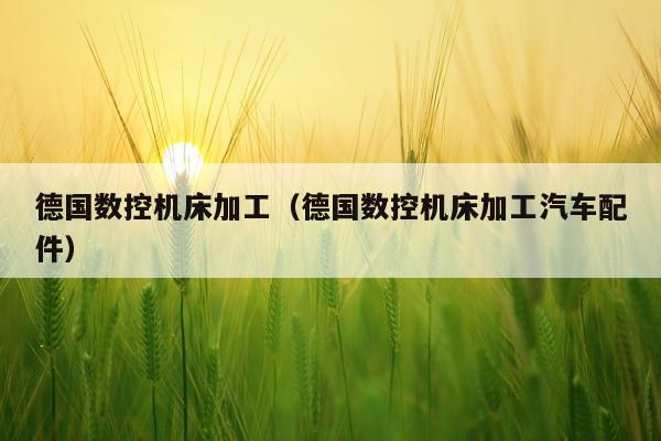 德国数控机床加工(德国数控机床加工汽车配件)