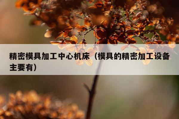 精密模具加工中心机床(模具的精密加工设备主要有)
