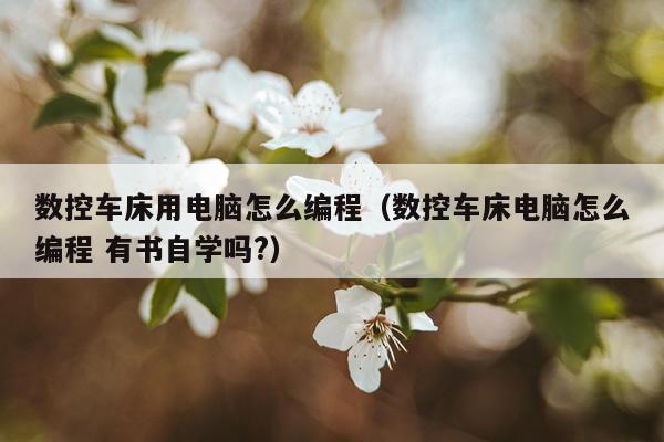数控车床用电脑怎么编程（数控车床电脑怎么编程 有书自学吗?）