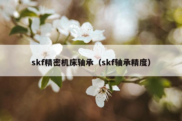 skf精密机床轴承（skf轴承精度）