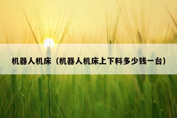 机器人机床（机器人机床上下料多少钱一台）