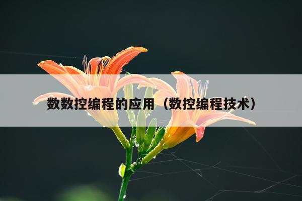 数数控编程的应用（数控编程技术）