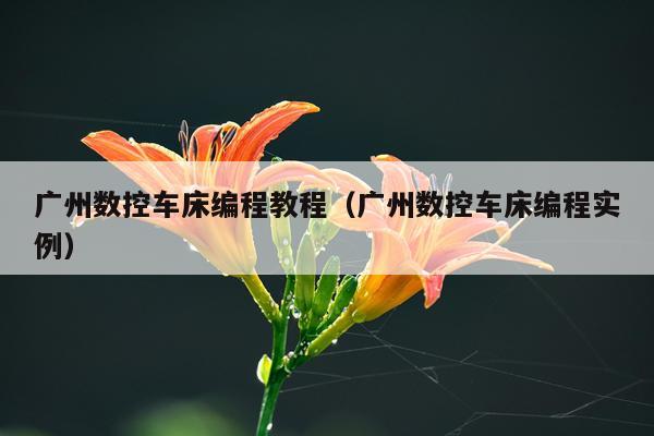 广州数控车床编程教程（广州数控车床编程实例）