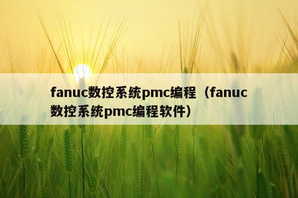 fanuc数控系统pmc编程（fanuc数控系统pmc编程软件）