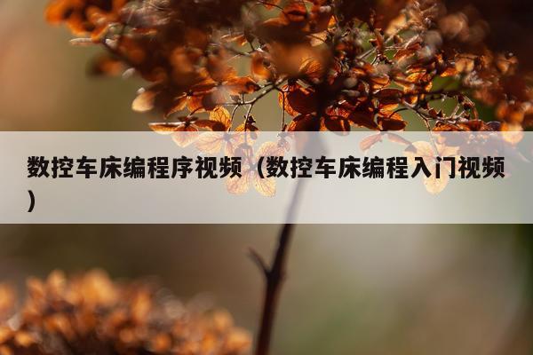 数控车床编程序视频（数控车床编程入门视频）
