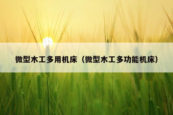 微型木工多用机床（微型木工多功能机床）