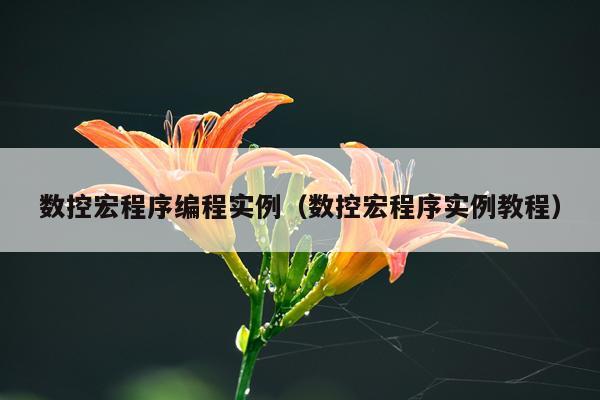 数控宏程序编程实例（数控宏程序实例教程）