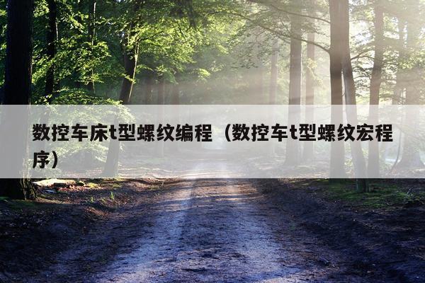 数控车床t型螺纹编程（数控车t型螺纹宏程序）