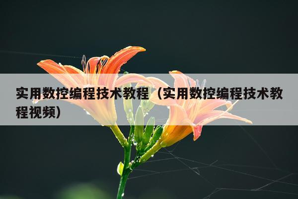 实用数控编程技术教程（实用数控编程技术教程视频）