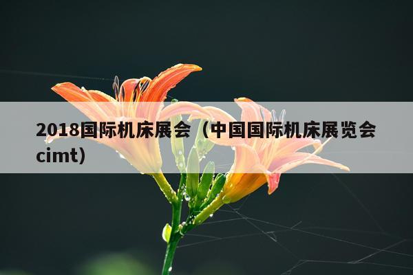 2018国际机床展会（中国国际机床展览会cimt）