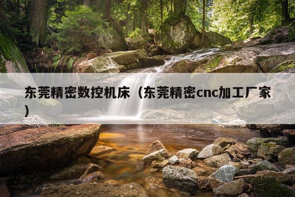 东莞精密数控机床（东莞精密cnc加工厂家）