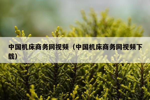 中国机床商务网视频（中国机床商务网视频下载）