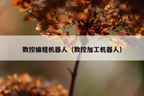 数控编程机器人（数控加工机器人）