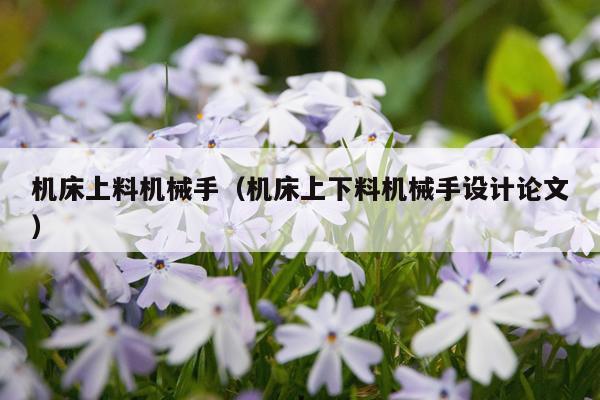 机床上料机械手（机床上下料机械手设计论文）