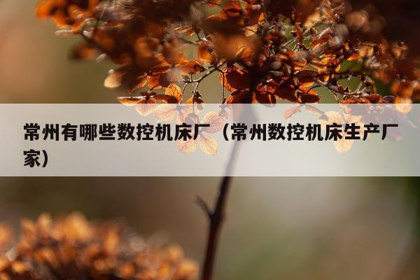 常州有哪些数控机床厂（常州数控机床生产厂家）