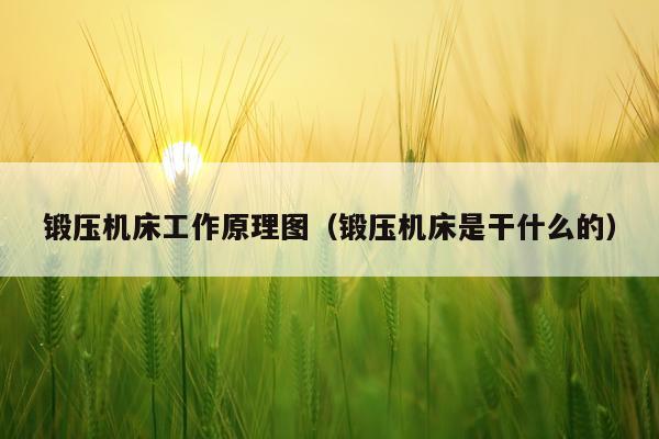 锻压机床工作原理图(锻压机床是干什么的)