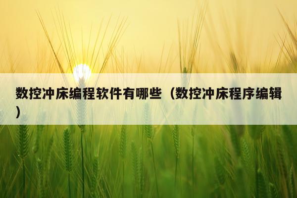 数控冲床编程软件有哪些(数控冲床程序编辑)